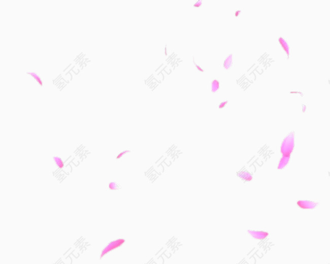 粉色玫瑰花花瓣