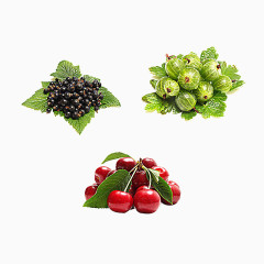 新鲜水果合集PNG元素