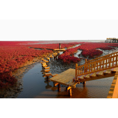 辽宁盘锦红海滩国家风景廊道四