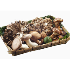 菌菇拼盘实物图