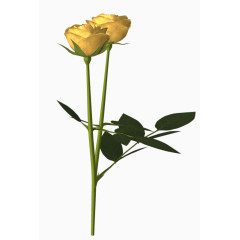 装饰卡通花卉图片