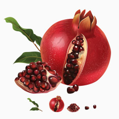 卡通手绘逼真番石榴