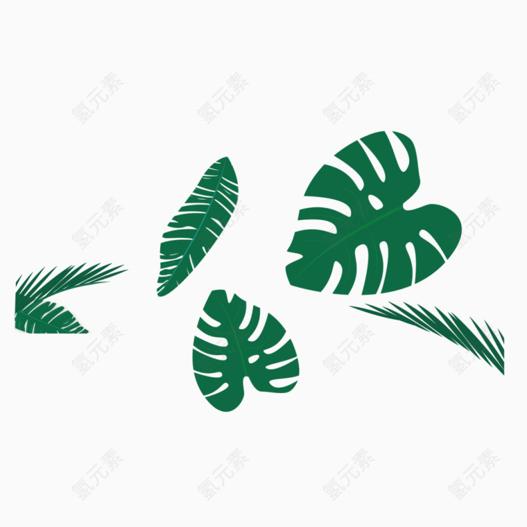多种树叶