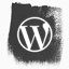 WordPress飞溅社交媒体图标