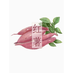 红薯