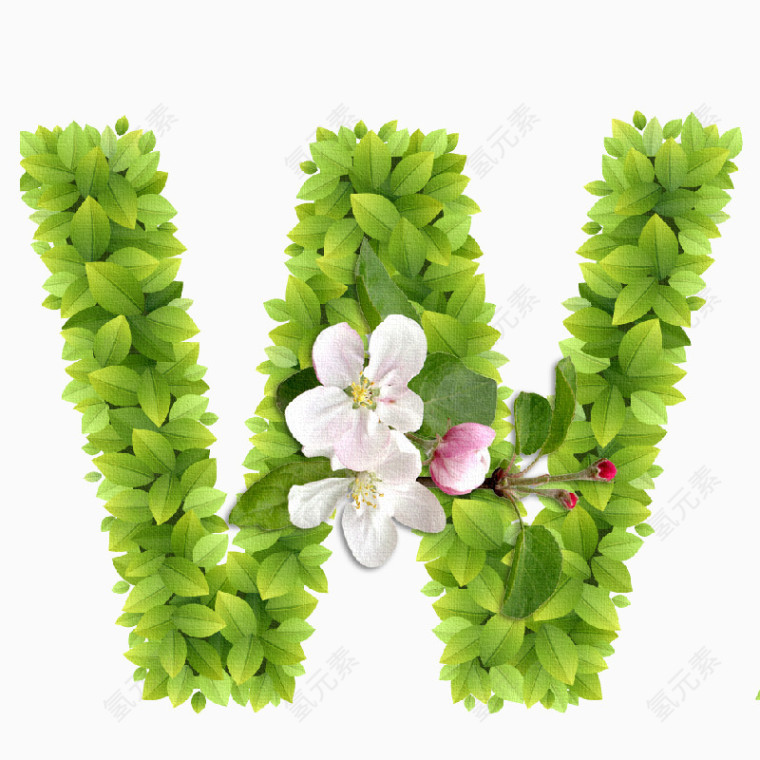 春意盎然的绿叶花卉字母W
