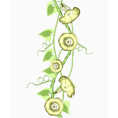 装饰元素绿色藤蔓