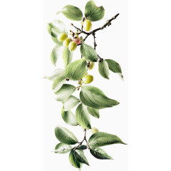 时尚风格装饰花边花朵树木叶子