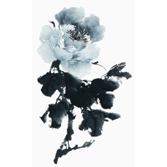 中国风水墨国画牡丹