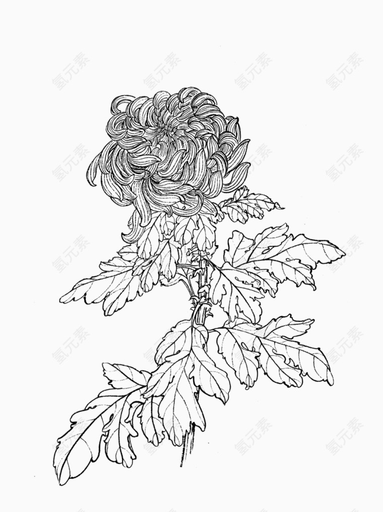 手绘花