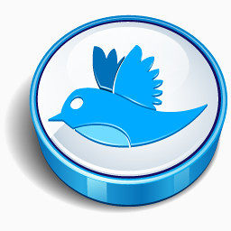 数据库选择is_twitter