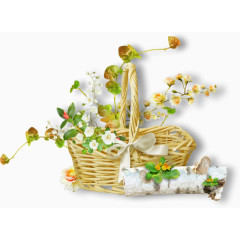 花篮白色小花花卉植物素材