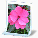 照片文件Junior-icons