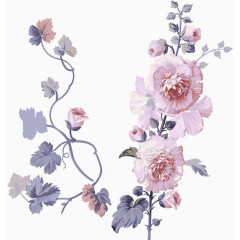 花卉画矢量花卉素材