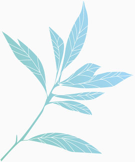 戴尔媒体体验图标