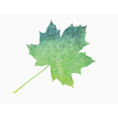 小清新手绘水彩叶子漂浮