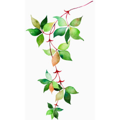 水彩画绿叶免抠图