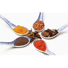 调味料粉末
