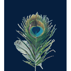 孔雀羽毛免抠素材
