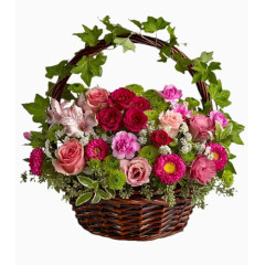 唯美花卉图片国画花草素材