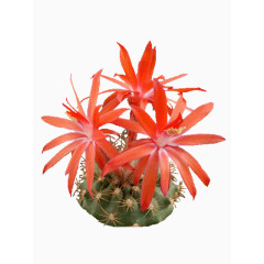 抽象炫彩碎块方块