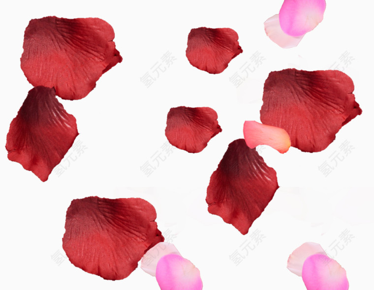 粉色花瓣