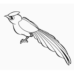 手绘小鸟