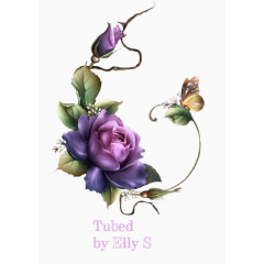 花草标签花草背景素材