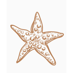 简笔画海星