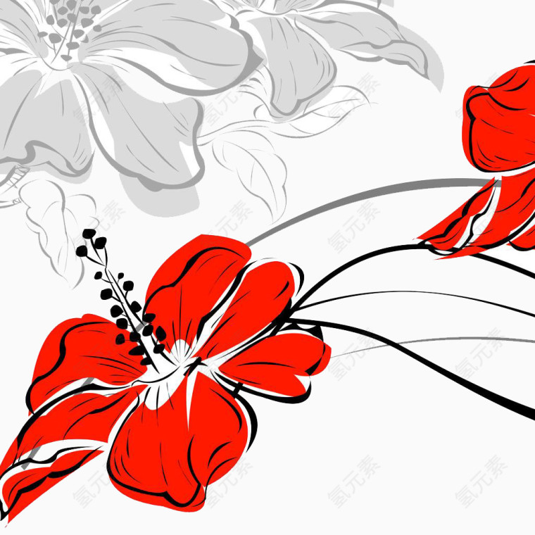 精美花卉