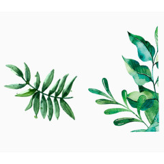 清新唯美水墨绿叶元素合集