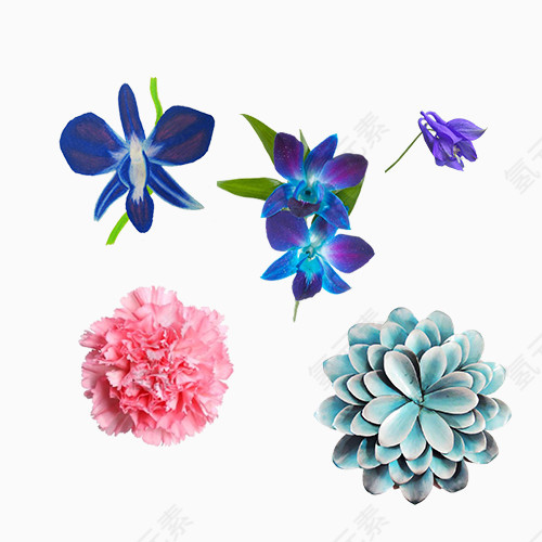 日式唯美原宿风格鲜花