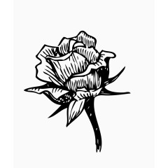 卡通手绘素描花朵花束鲜花