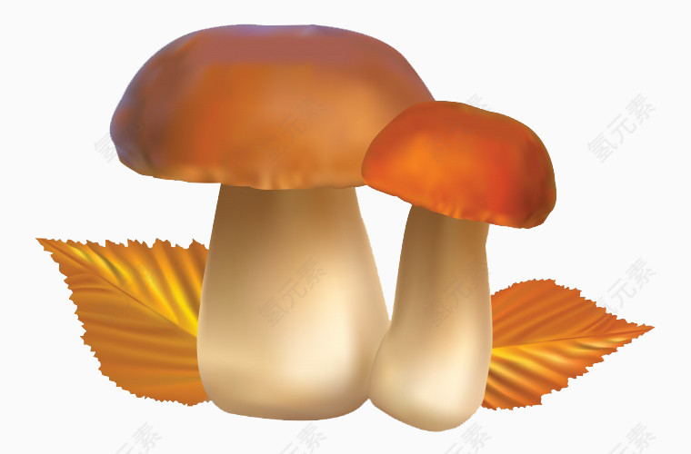 蘑菇