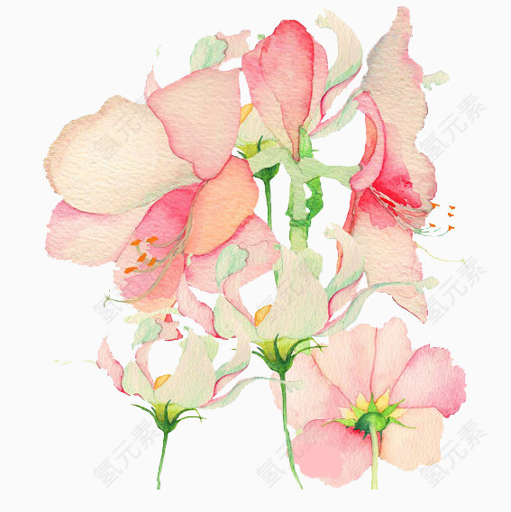 清新旧插画花粉色鲜花
