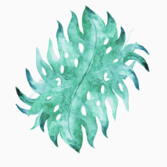 手绘插画鲜花元素