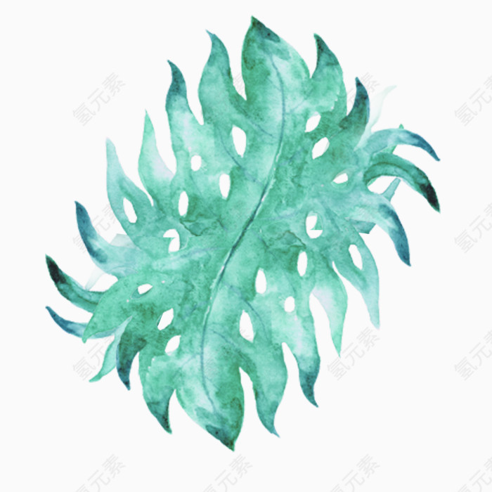 手绘插画鲜花元素