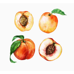 卡通手绘水彩桃子