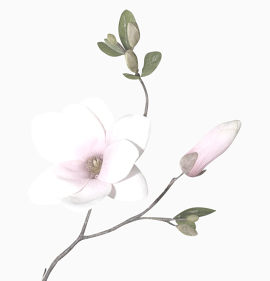 业务联系卡cms-icons