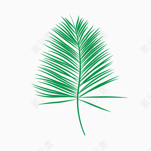 植物树叶素材