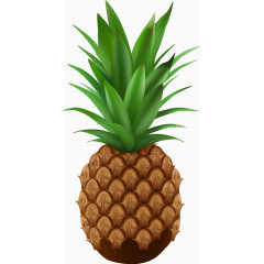 手绘卡通凤梨片