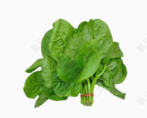 蔬菜君