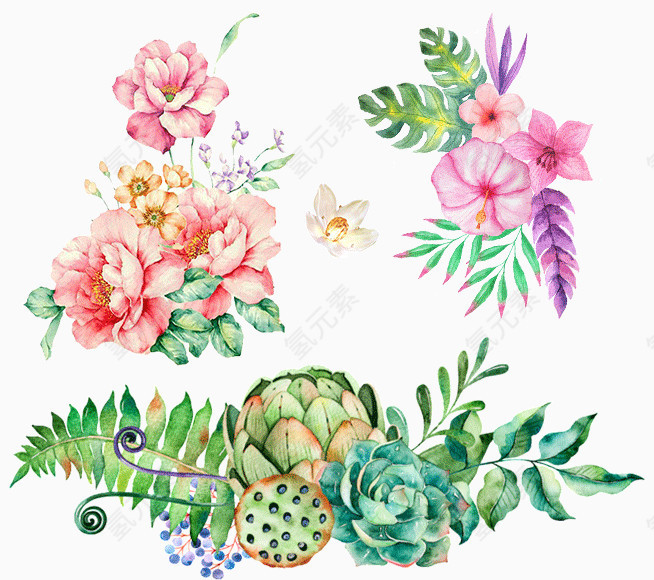 百花争艳