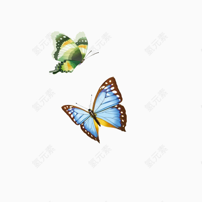 漂亮的彩色蝴蝶免费下载