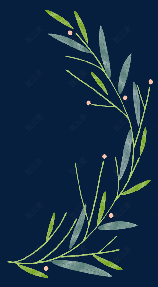 植物