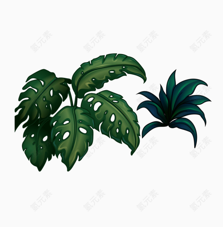 墨绿色植物手绘插画