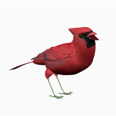 酒红朱雀免抠png素材