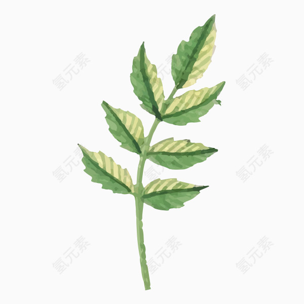 手绘水彩绿色树叶图片