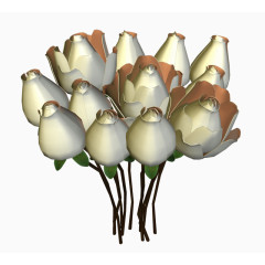 庆典花卉庆典花草