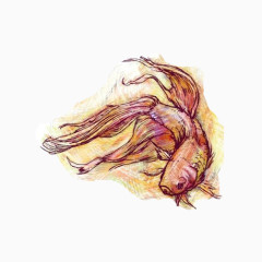 金鱼游动彩色线描素材图片